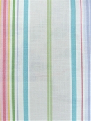 Dorchester 212 Garden Covington Fabric